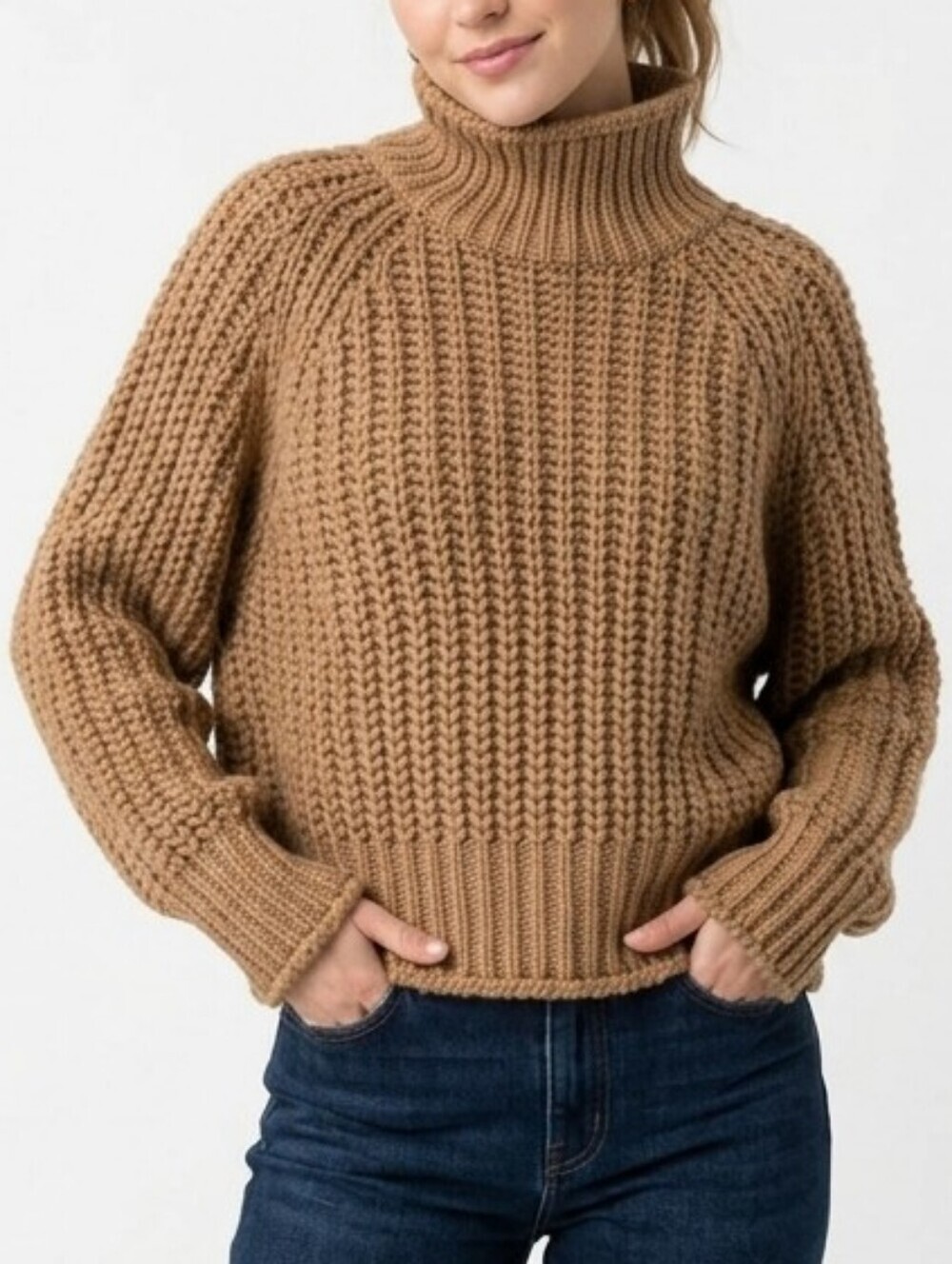 Lavon Oversized Chunky Knit Turtleneck Sweater